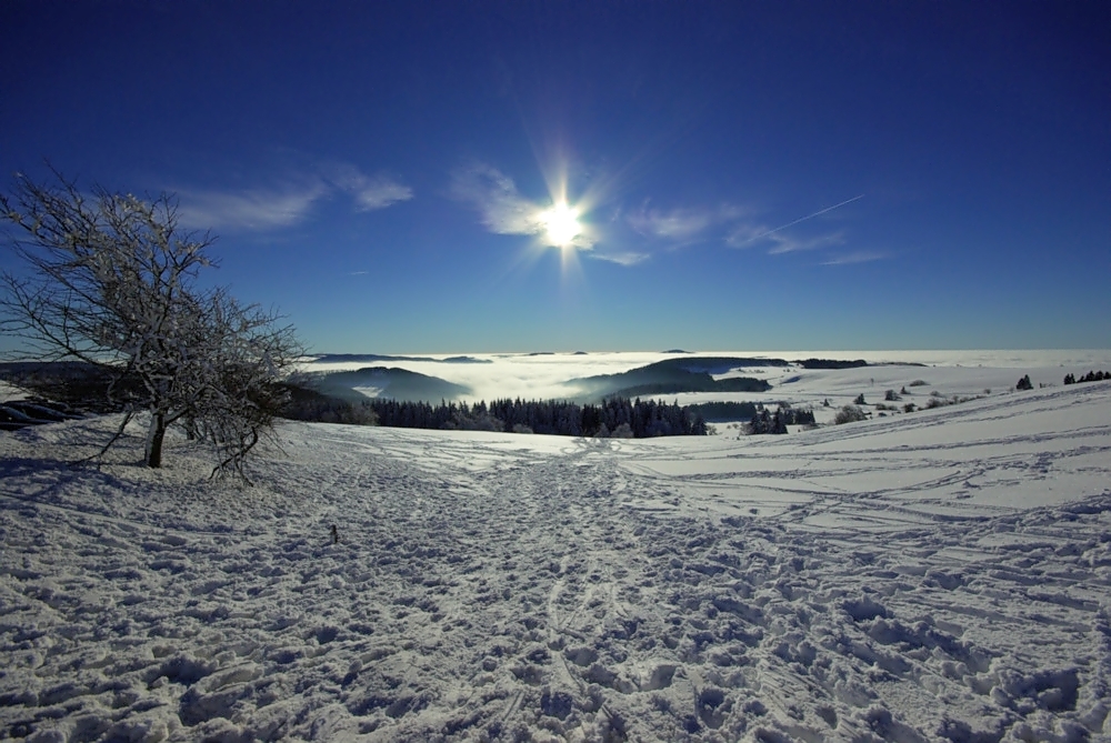 Wasserkuppe (nachher)