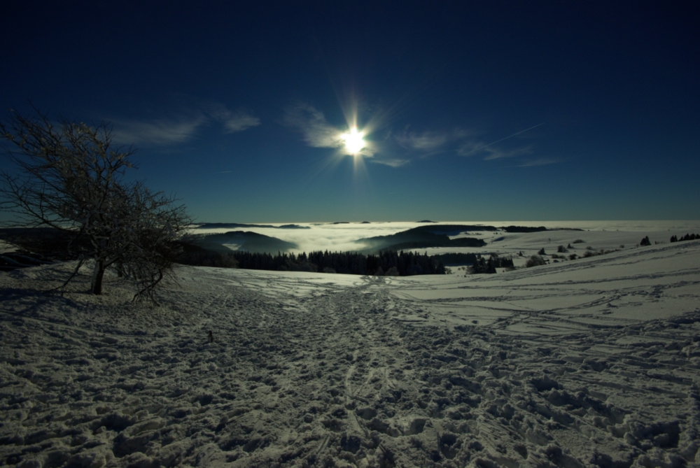 Wasserkuppe (vorher)